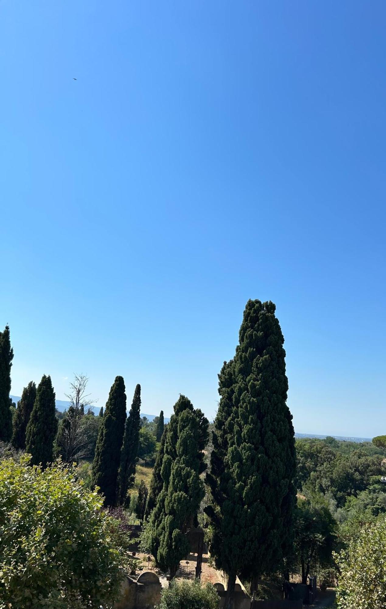 A Pochi Passi Dal Centro Διαμέρισμα Bolgheri Εξωτερικό φωτογραφία